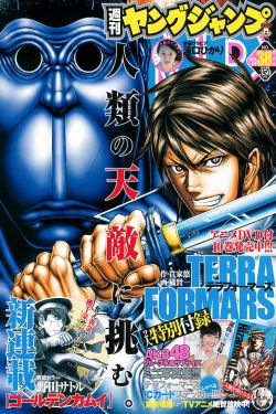 夜隼电视剧全集免费播放